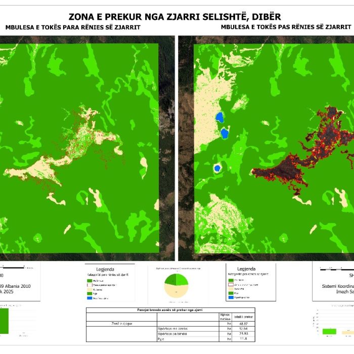 Analysis of satellite images in the area affected by the Selishte fire, Dibër