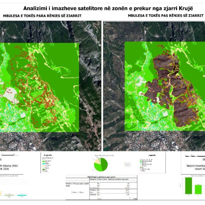 Satellite image analysis for fire-affected areas