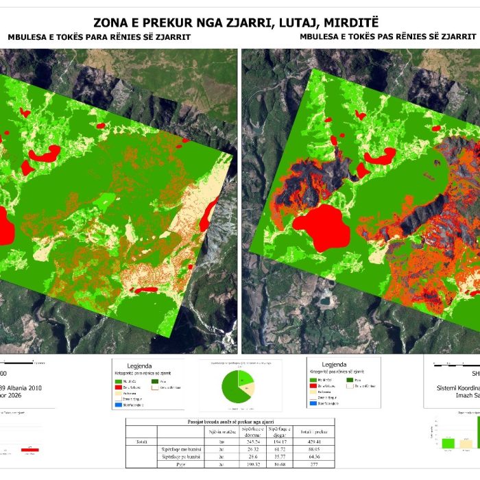 Analysis of satellite images for areas affected by fire