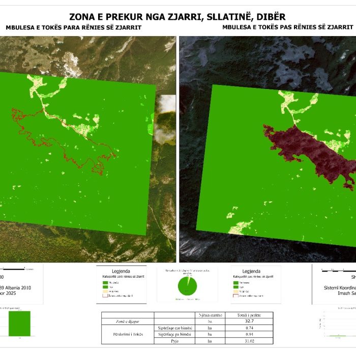 Analysis of satellite images for areas affected by fires
